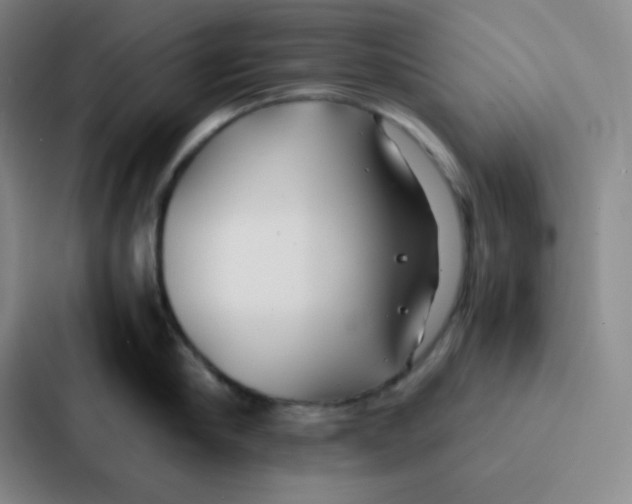 X0000086920910200705141720