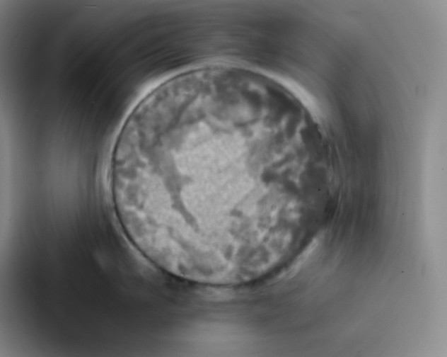 X0000086920911200705141720