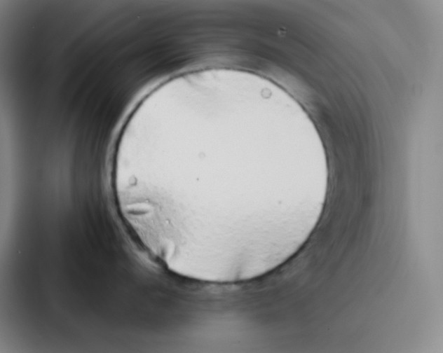 X0000086920912200705141720