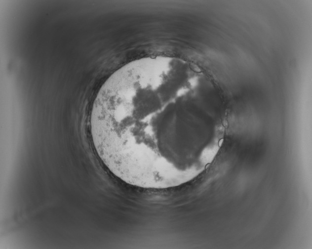 X0000086920913200705141719