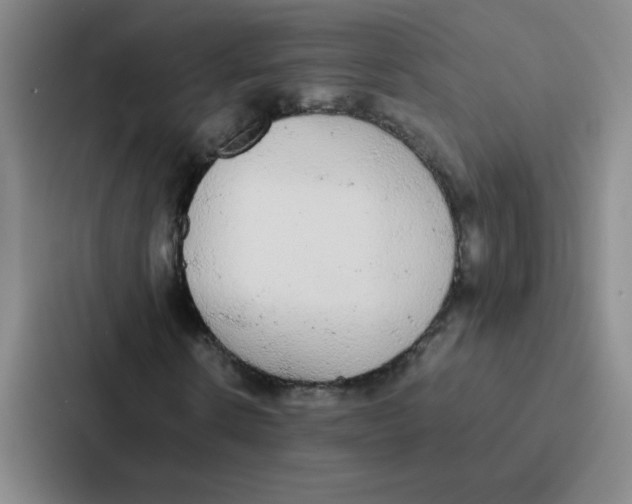 X0000086920914200705141719