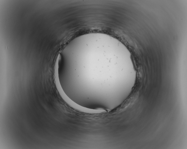 X0000086920916200705141719