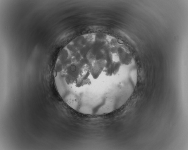X0000086920917200705141719