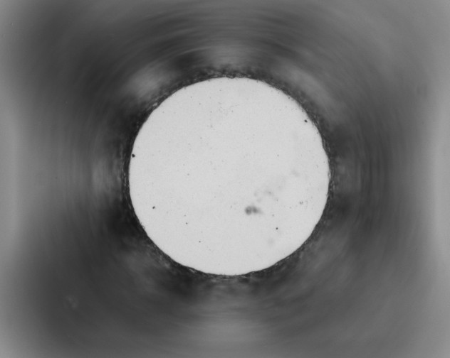 X0000086920918200705141719