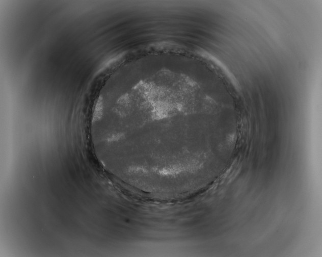 X0000086920919200705141719