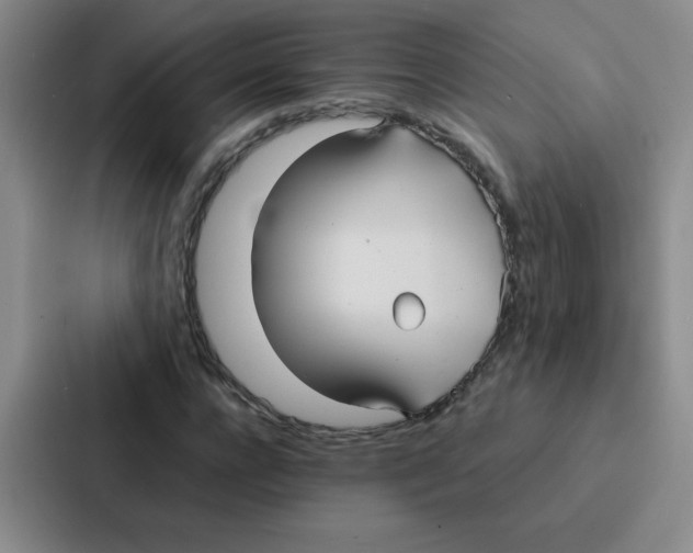 X0000086920920200705141719