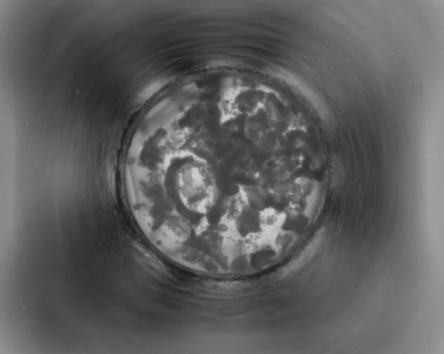 X0000086920921200705141719