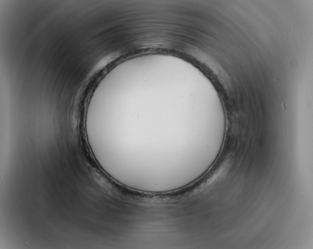 X0000086920922200705141719