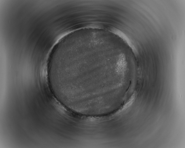 X0000086920923200705141719
