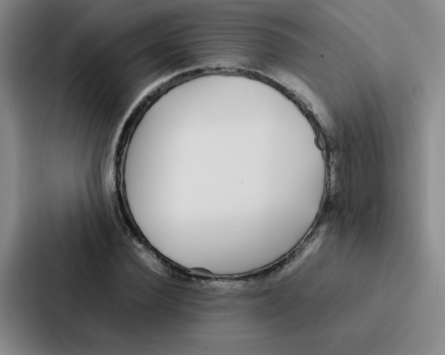 X0000086920924200705141719