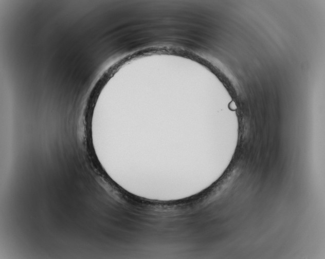 X0000086920927200705141719