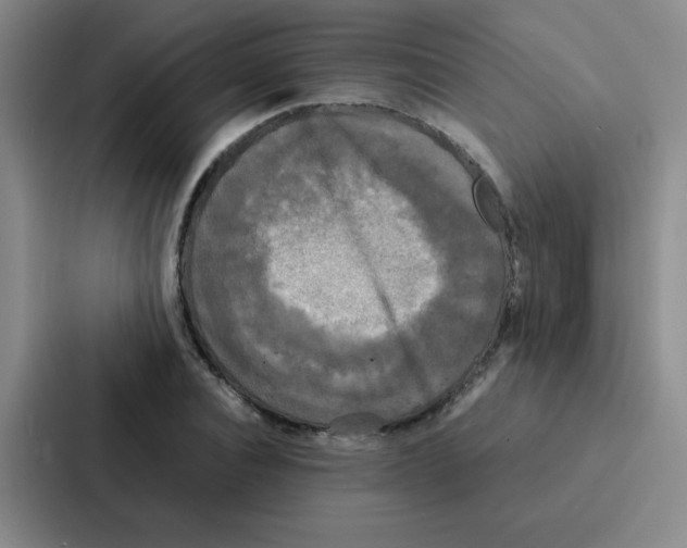 X0000086920928200705141719