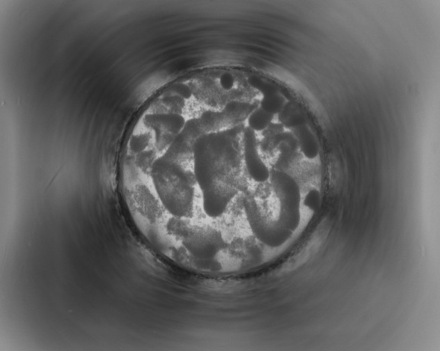 X0000086920929200705141719