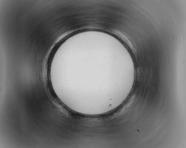 X0000086920931200705141719