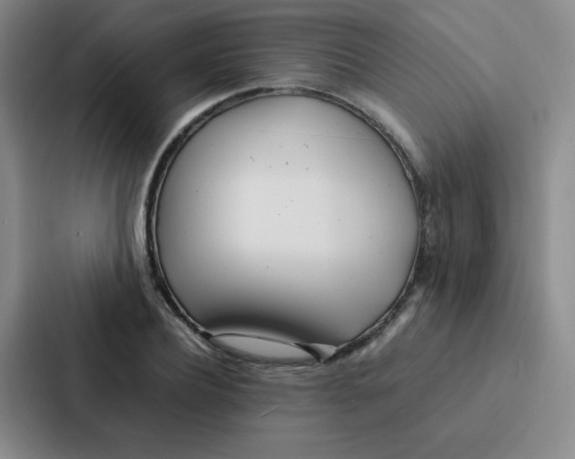 X0000086920932200705141719