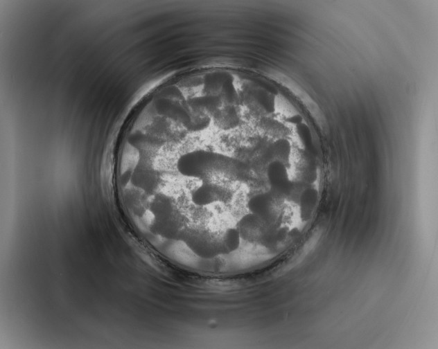 X0000086920933200705141719