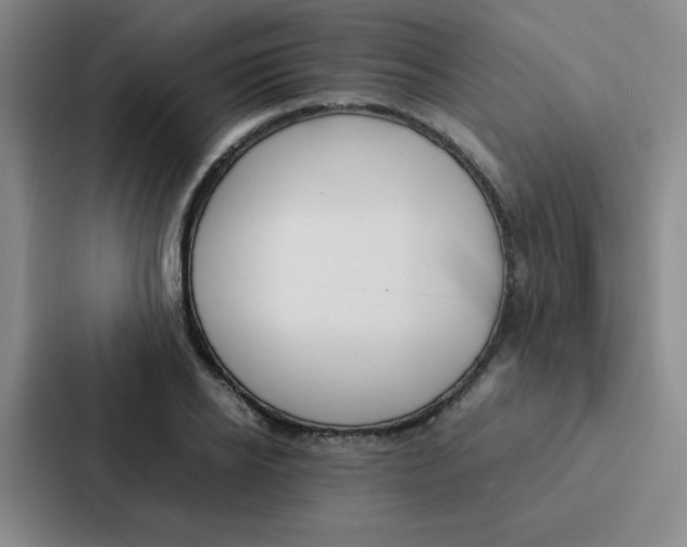X0000086920934200705141719