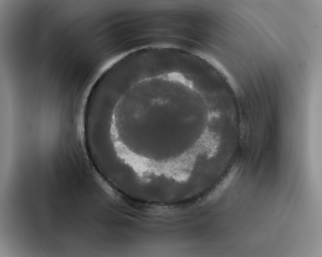 X0000086920935200705141719