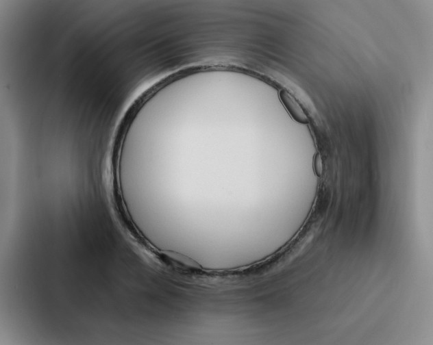 X0000086920936200705141719