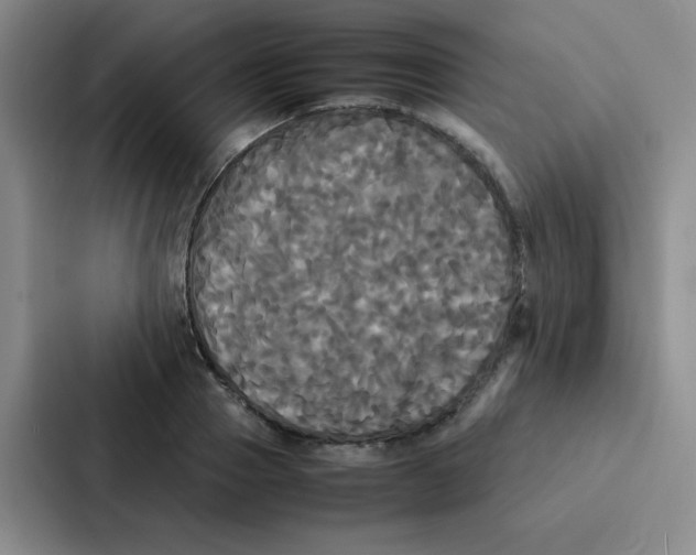 X0000086920937200705141719