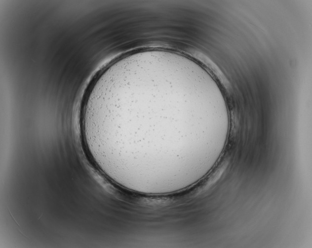 X0000086920939200705141719