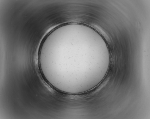 X0000086920940200705141719