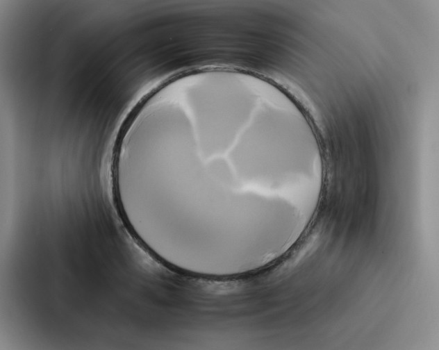 X0000086920941200705141719
