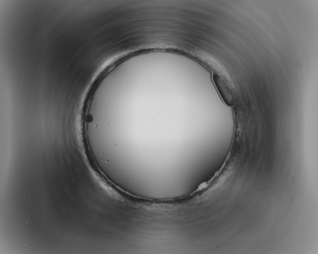 X0000086920942200705141719