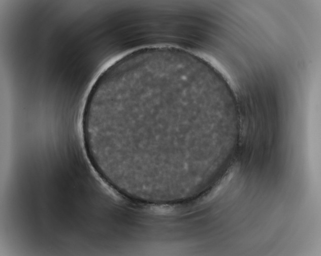 X0000086920943200705141719
