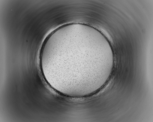 X0000086920944200705141719