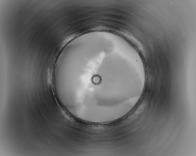 X0000086920945200705141719