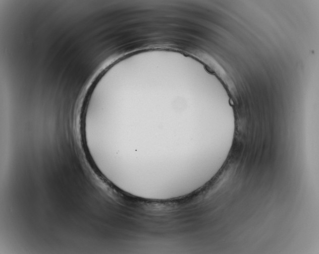 X0000086920947200705141719