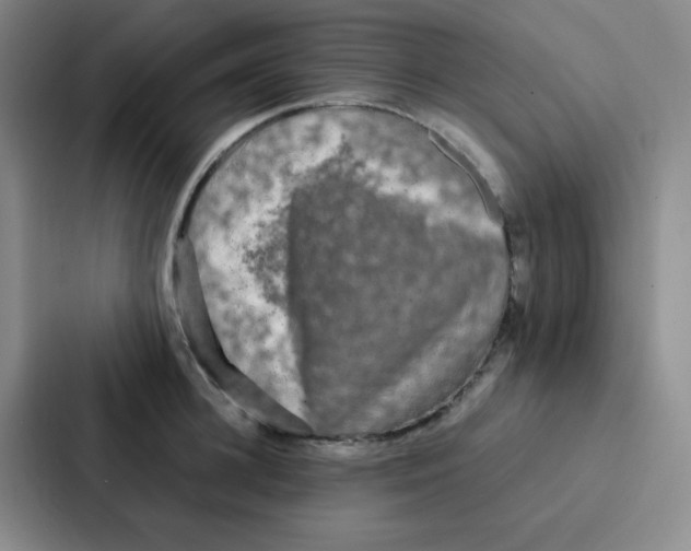 X0000086920948200705141719