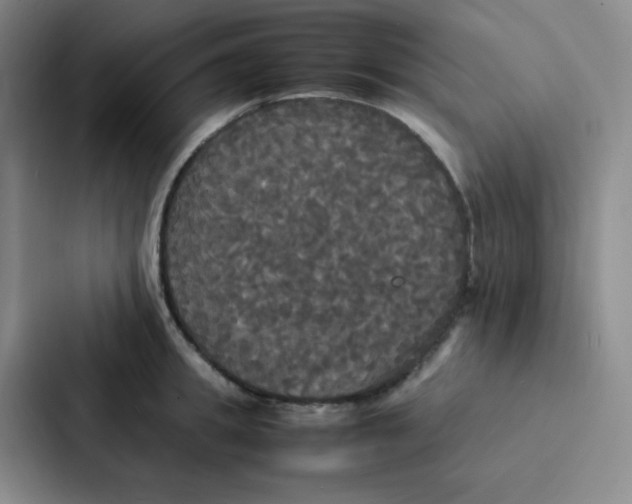 X0000086920949200705141720