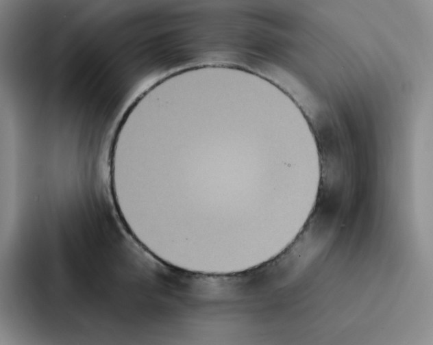 X0000086920950200705141720
