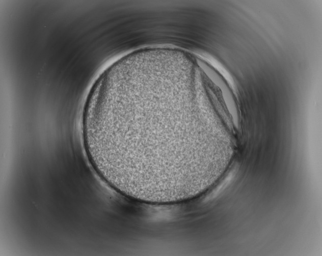 X0000086920951200705141720