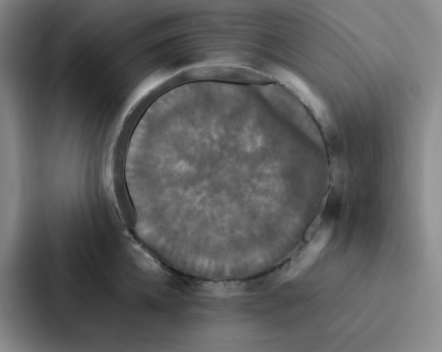 X0000086920952200705141720