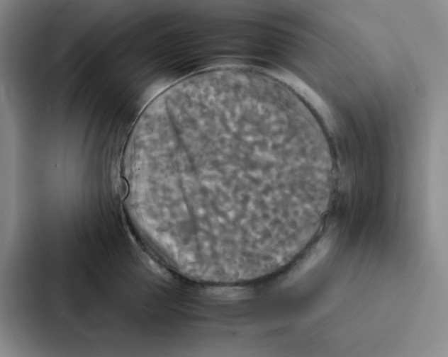 X0000086920953200705141720