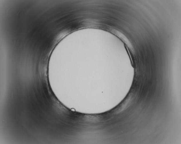 X0000086920954200705141720