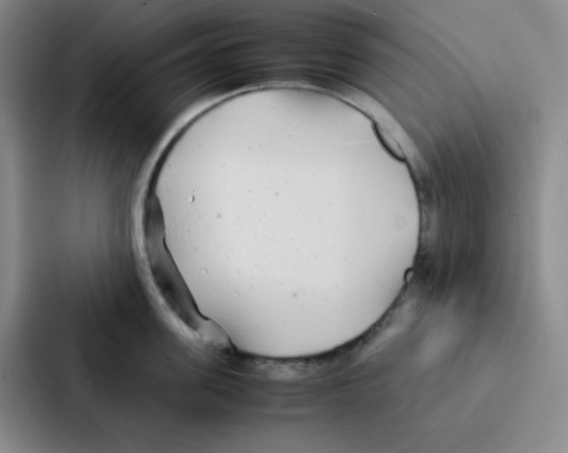 X0000086920955200705141720