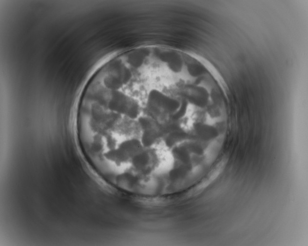 X0000086920957200705141720