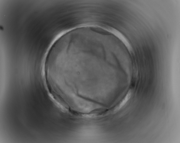 X0000086920958200705141720