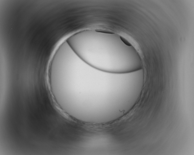 X0000086920960200705141720
