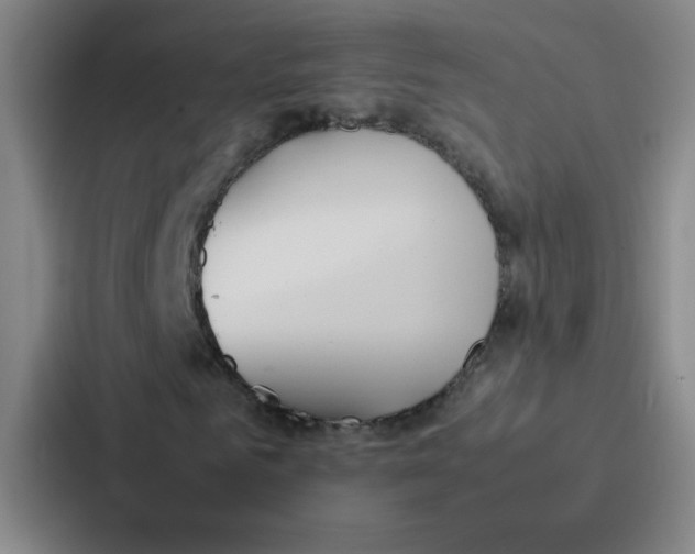 X0000086920961200705141719