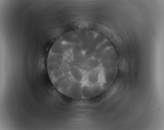X0000086920962200705141719