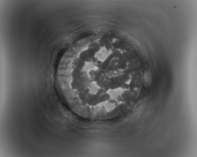 X0000086920963200705141719