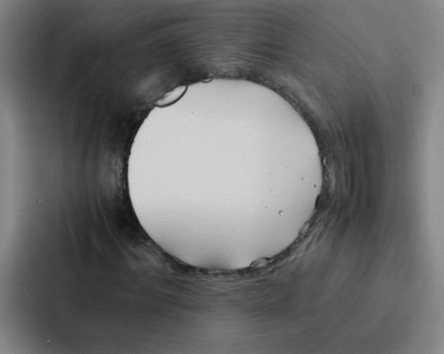 X0000086920964200705141719