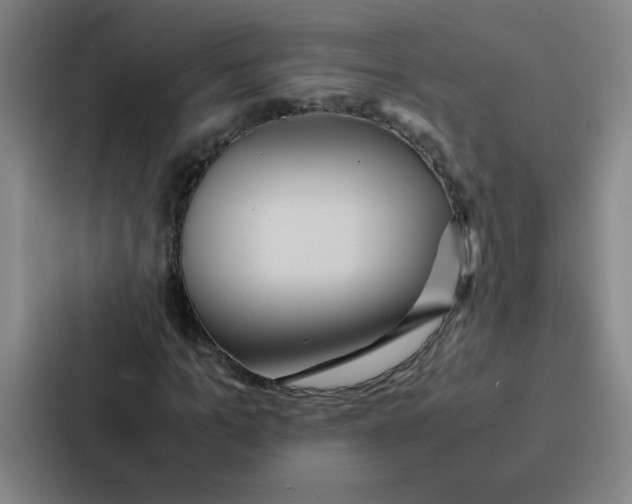 X0000086920965200705141719