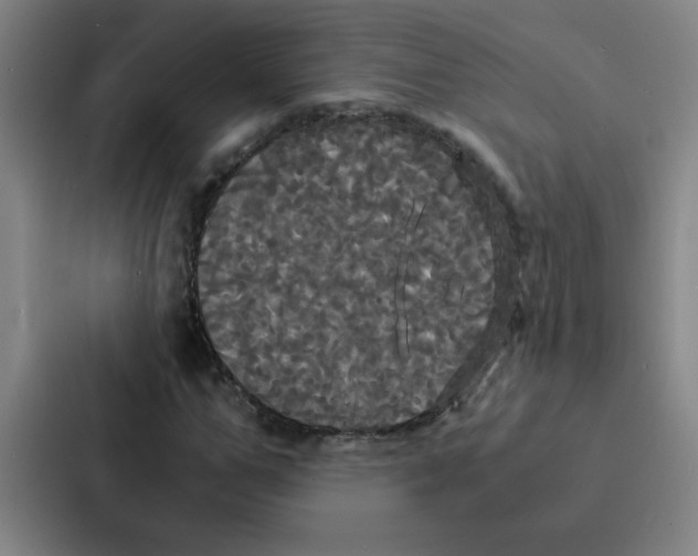 X0000086920967200705141719