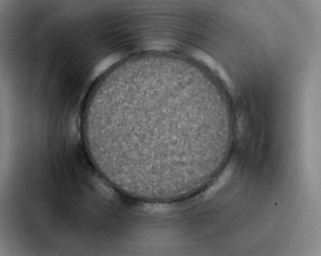 X0000086920970200705141719